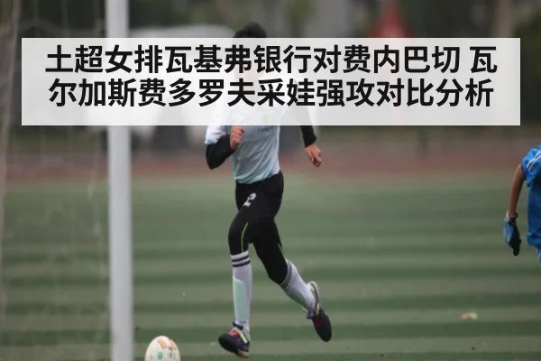 土超女排瓦基弗银行对费内巴切 瓦尔加斯费多罗夫采娃强攻对比分析